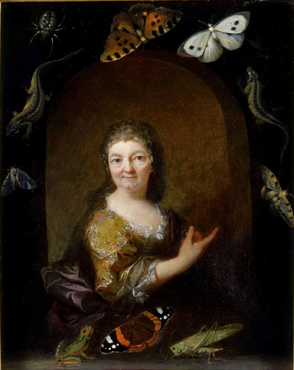 Portrait allégorique de dame âgée ; Portrait de Maria Sybilla Merian (ancien titre)_0